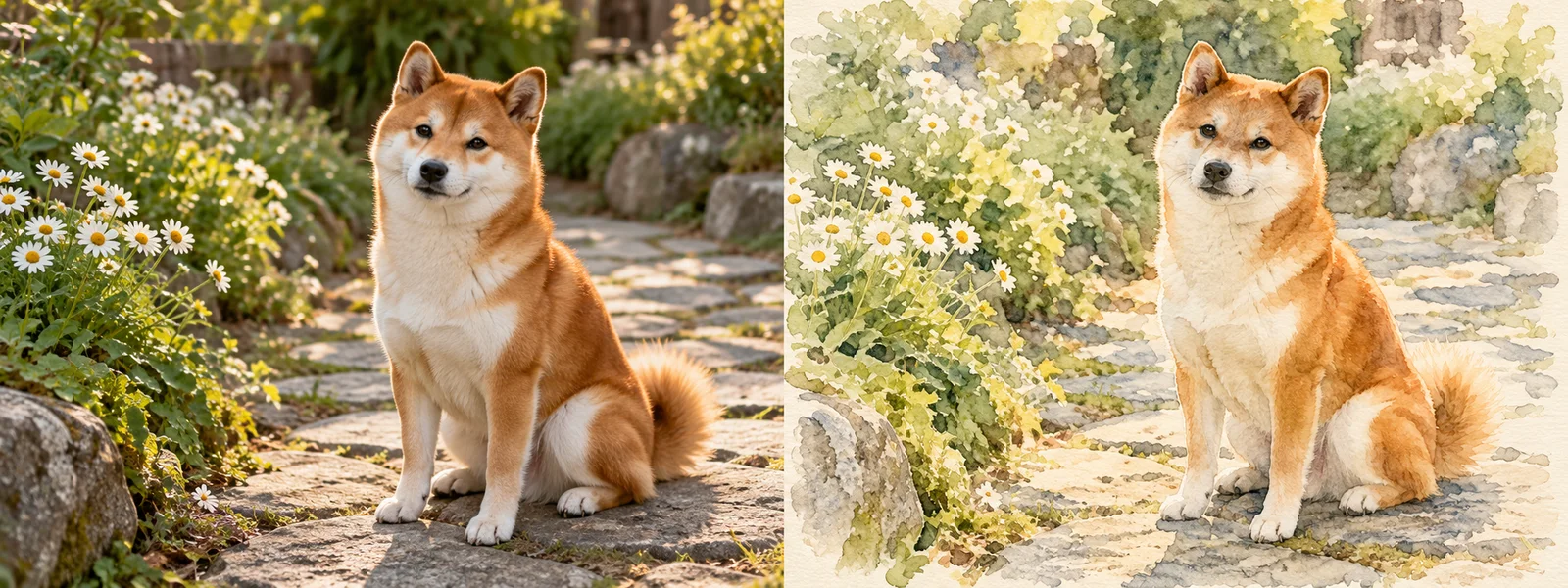Watercolor illustration of the same Shiba Inu and garden composition